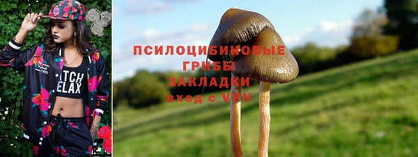 круглые Бронницы